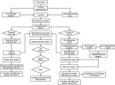 N6-methylandenosine-related immune genes correlate with prognosis and immune landscapes in gastric cancer